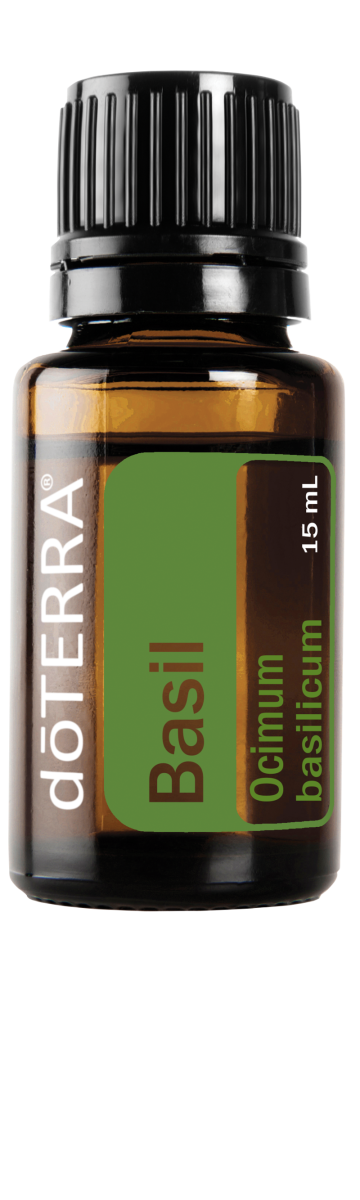 Albahaca 15 mL