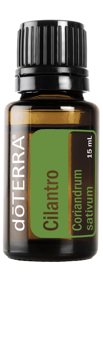 Cilantro 15 mL