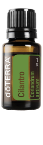Cilantro 15 mL