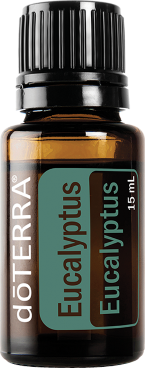 Eucalipto 15 mL