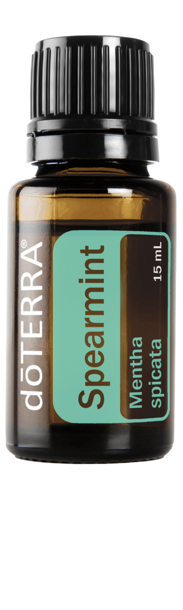 Hierbabuena 15 mL