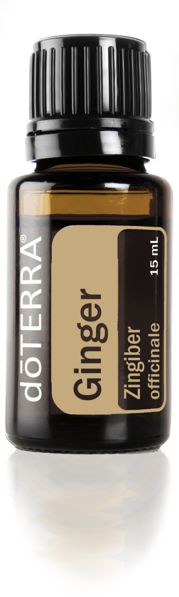 Jengibre 15 mL