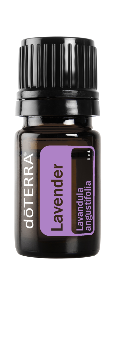 Lavanda 5 mL