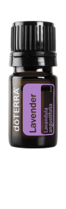 Lavanda 5 mL